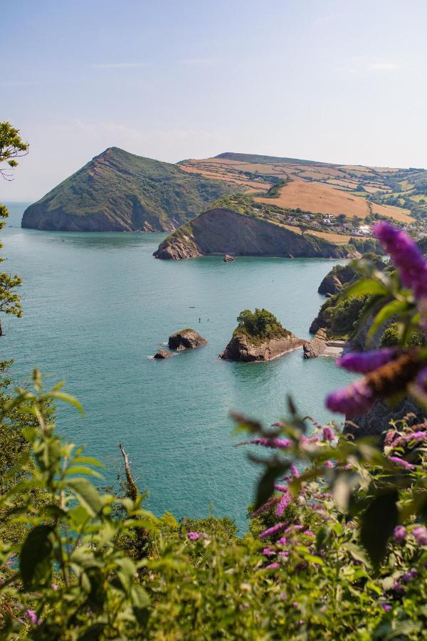 Sandy Cove Hotel Ilfracombe Exterior foto